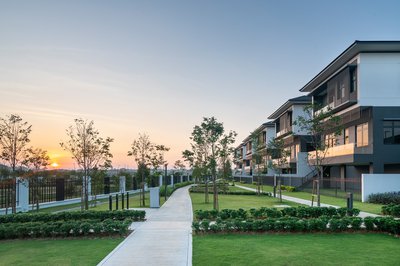 ECO ARDENCE, DREMIEN COLLECTION